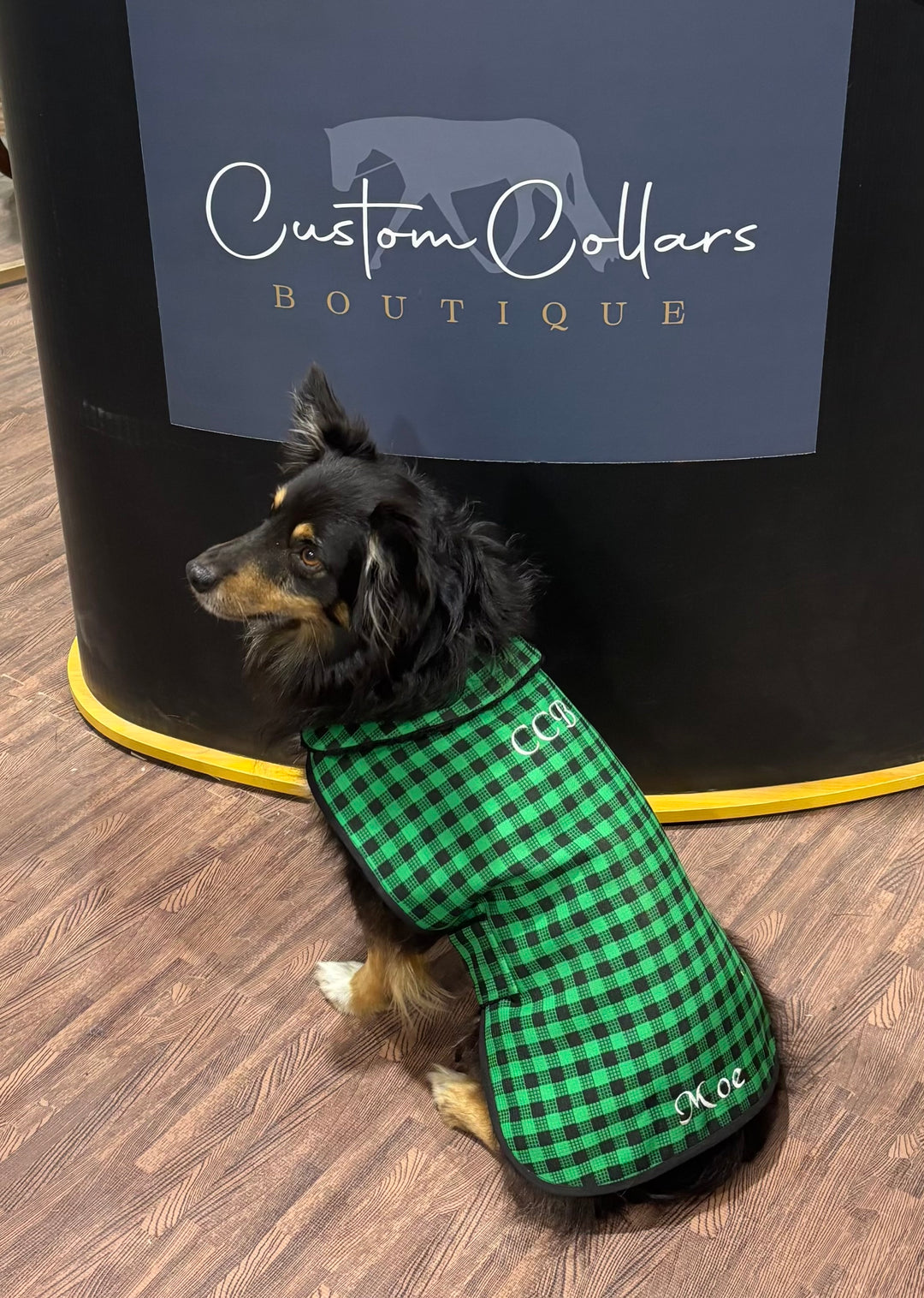 CCB Custom Dog Jacket
