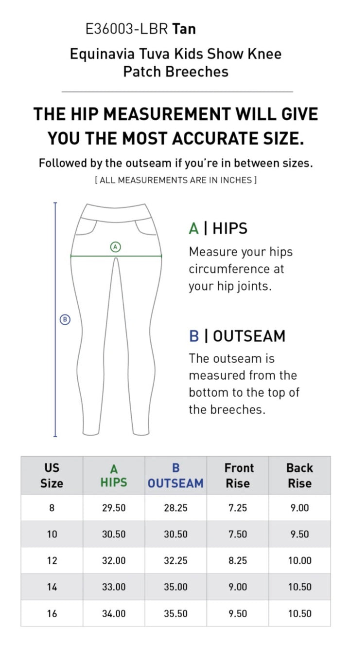 Equinavia Show Breeches