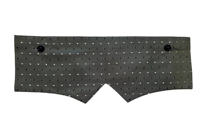 Olive Gold & Navy Dot/Sand Paisley Points