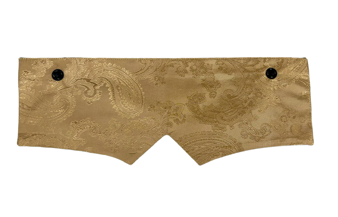 Gold & Blue Paisley/Gold Paisley Points